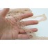 Embroidered Lace Trim, Beige colour, 1" width